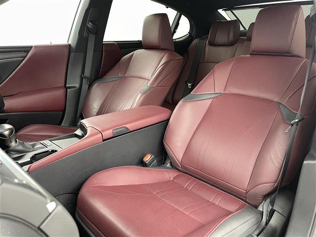 ＥＳ ＥＳ３００ｈ　グレイスフルエスコート　パノラミックビュー　ブラインドスポットモニター　サンルーフ　マークレビンソンプレミアムサウンド　純正１２．３インチディスプレイオーディオ　フルセグＴＶ／ＢＴ／ＦＭ／ＡＭ／ミラーキャスト　前後ドラレコ（19枚目）