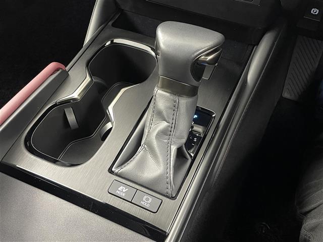 ＥＳ ＥＳ３００ｈ　グレイスフルエスコート　パノラミックビュー　ブラインドスポットモニター　サンルーフ　マークレビンソンプレミアムサウンド　純正１２．３インチディスプレイオーディオ　フルセグＴＶ／ＢＴ／ＦＭ／ＡＭ／ミラーキャスト　前後ドラレコ（28枚目）