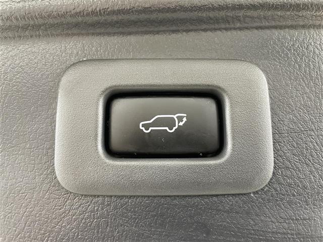 アルファード 240S タイプゴールド 社外ALPINE9型ナビフルセグ/社外ALPINEフリップダウンモニター/クルーズコントロール/クリアランスソナー/バックカメラ/両側パワースライド/電動リアゲート/純正AW/ETC/プッシュスタート(8枚目)