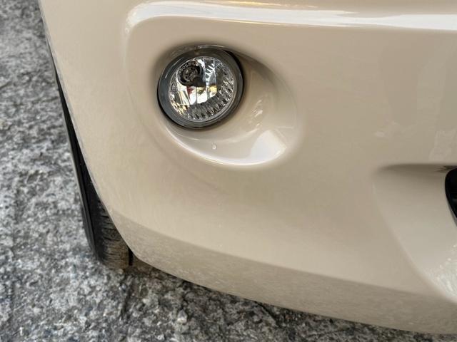 パッソ プラスハナ(49枚目)