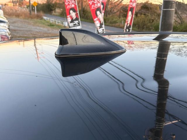 アクア Ｓスタイルブラック（65枚目）