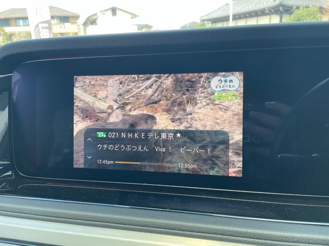 Ｇクラス Ｇ３５０ｄ　ＡＭＧライン　ラグジュアリーＰＫＧ　アダプティブダンピングシステム　サンルーフ　ブルメスター　ＡＣＣ　ナビ　フルセグＴＶ　全方位カメラ　パークトロニック　レーンキープアシスト　ブラインドスポット　黒レザーシート（22枚目）