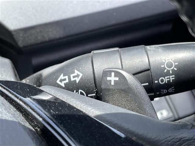 ステップワゴンスパーダ S(10枚目)