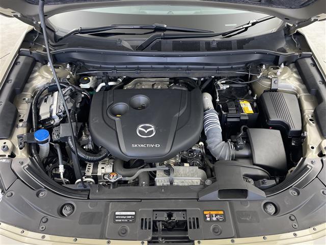 ＣＸ－５ ＸＤ　スポーツアピアランス　ワンオーナー　純正ナビ　全周囲カメラ　ＢＯＳＥサウンドシステム　フリップダウンモニター　ヘッドアップディスプレイ　ブラインドスポットモニター　レーダークルーズコントロール　レーンキープアシスト（40枚目）