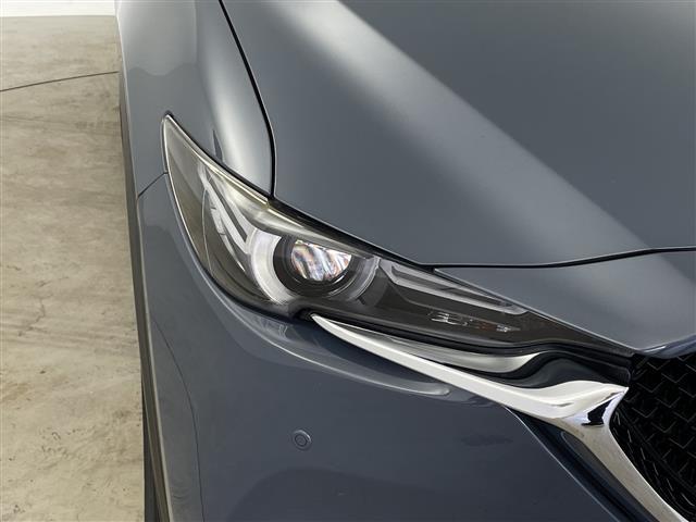 ＣＸ－５ ＸＤ　Ｌパッケージ　メーカーナビ　全周囲カメラ　レザーシート　レーダークルーズコントロール　ブラインドスポットモニター　　ヘッドアップディスプレイ　パドルシフト　パワーバックドア　ステアリングヒーター　オートライト（36枚目）