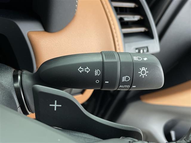 ヴェルファイア Ｚ　プレミア　純正１４型ＤＡ　左右独立ムーンルーフ　デジタルインナーミラー　ユニバーサルステップ　トヨタセーフティーセンス　プリクラッシュセーフティ　レーントレーシングアシスト　レーダークルーズコントロール（16枚目）