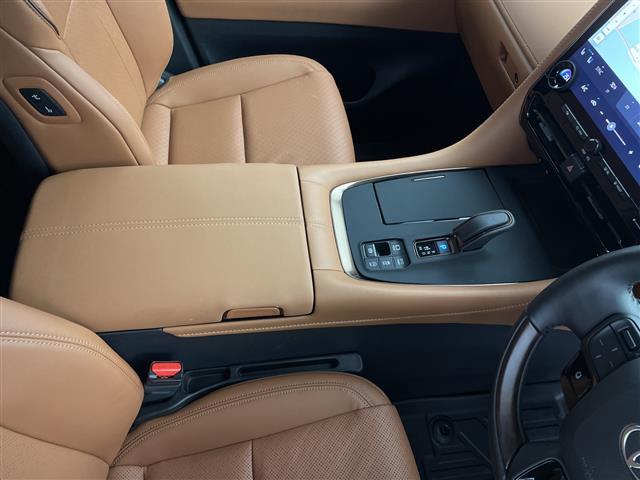 ヴェルファイア Ｚ　プレミア　純正１４型ＤＡ　左右独立ムーンルーフ　デジタルインナーミラー　ユニバーサルステップ　トヨタセーフティーセンス　プリクラッシュセーフティ　レーントレーシングアシスト　レーダークルーズコントロール（22枚目）