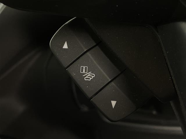 レヴォーグ ＧＴ　ＥＸ　純正ナビ　Ｂｌｕｅｔｏｏｔｈ　フルセグＴＶ　ビルトインＥＴＣ　オートマチックハイビーム　純正フロアマット　パドルシフト　サイドカメラ　バックカメラ　スペアキー　シートヒーター　パワーシート（19枚目）