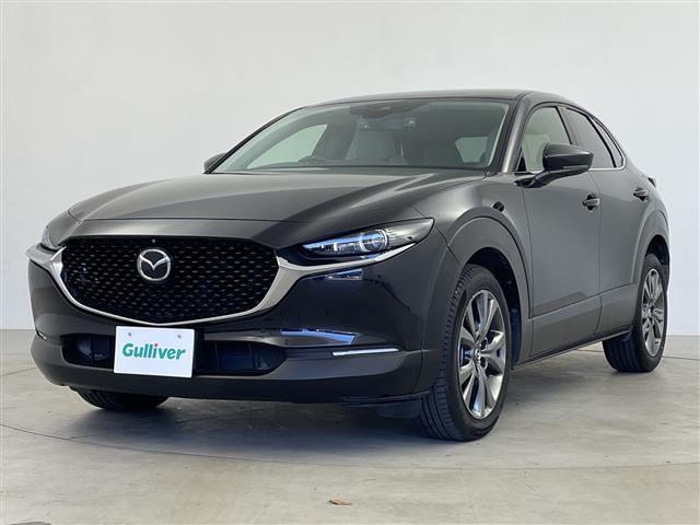 ＣＸ－３０ ＸＤ　プロアクティブ　ツーリングセレクション　純正ナビ　全方位カメラ　ドライブレコーダー　ＥＴＣ　シートヒーター　衝突軽減　レーダークルーズコントロール　ＬＥＤオートライト　フォグライト　ヘッドアップディスプレイ　メモリーシート　ＥＴＣ　ＢＳＭ（29枚目）