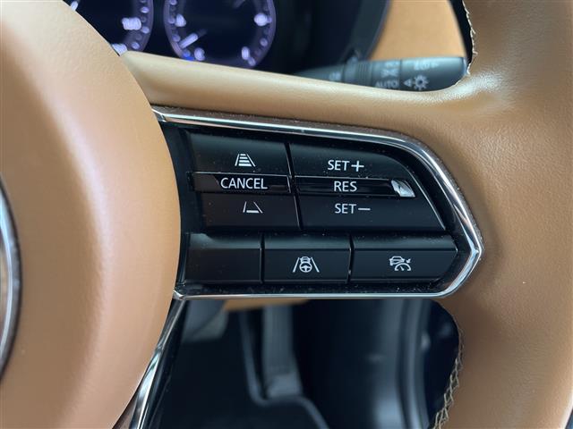 ＣＸ－６０ ＸＤ－ハイブリッド　プレミアムスポーツ　純正ナビ　Ｂｌｕｅｔｏｏｔｈ　フルセグＴＶ　ワンオーナー　４ＷＤ　ターボ　パドルシフト　レーダークルーズコントロール　全方位カメラ　サンルーフ　パワーバックドア　パワーバックドア　シートヒーター（7枚目）