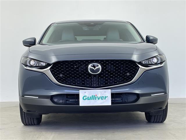 �����k���[���ɂ́u�L�b�Y�X�y�[�X�v���������Ă��܂��B�c�u�c�A�u���b�N�A�G�{�A���܂܂��ƃZ�b�g�B���q�l�A��ł��A�������Ƃ��Ԃ����I�т��������܂��I