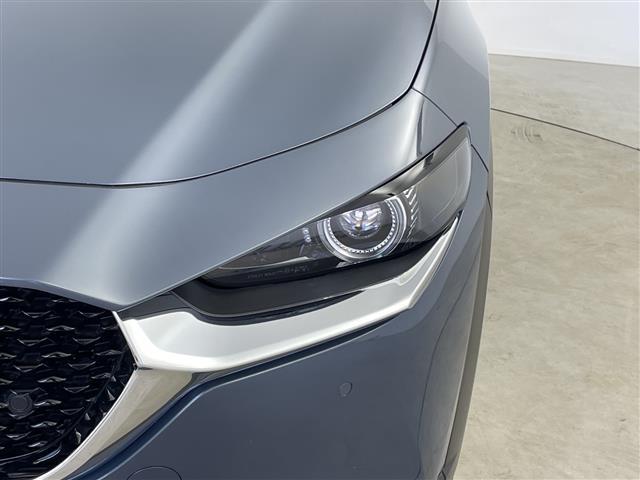 ���O�[�E�O�[�l�b�g�E�f�����E�f�����������̂��ԒT���͓��X�ɂ��C�����������I���������A�{�茧�A�F�{���A�啪���A���茧�A���ꌧ�A�������A�R�����A���Q���Ȃǂɂ��Z���̂��q�l�̂����X�����҂����Ă���܂��I�I