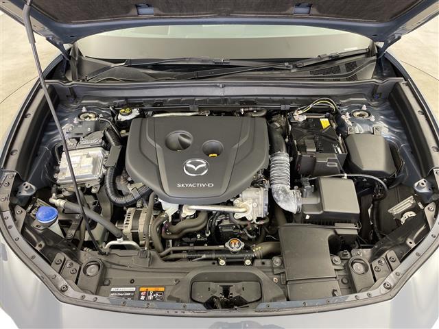 �����k���[���ɂ́u�L�b�Y�X�y�[�X�v���������Ă��܂��B�c�u�c�A�u���b�N�A�G�{�A���܂܂��ƃZ�b�g�B���q�l�A��ł��A�������Ƃ��Ԃ����I�т��������܂��I