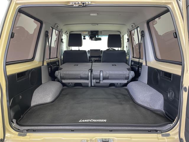 ランドクルーザー７０ ＡＸ　アルパイン製ナビ　クルーズコントロール　バックカメラ　ＥＴＣ　前後ドライブレコーダー　オートハイビーム　レーンディパーチャーアラート　純正フロアマット　ＬＥＤヘッドライト　純正ＡＷ　ヒルディセント（21枚目）