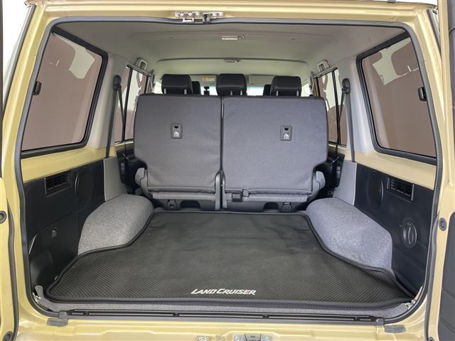 ランドクルーザー７０ ＡＸ　アルパイン製ナビ　クルーズコントロール　バックカメラ　ＥＴＣ　前後ドライブレコーダー　オートハイビーム　レーンディパーチャーアラート　純正フロアマット　ＬＥＤヘッドライト　純正ＡＷ　ヒルディセント（22枚目）