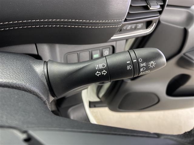 セレナ (10枚目)