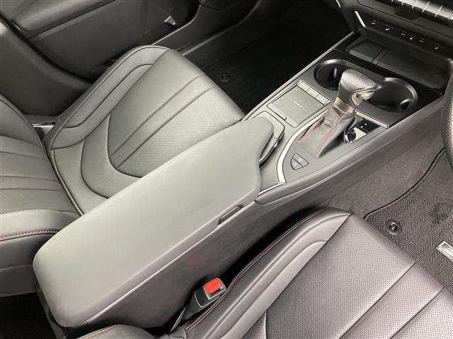 ＵＸ ＵＸ２５０ｈ　Ｆスポーツ　純正メモリナビ　衝突被害軽減ブレーキ　レーンキープアシスト　リヤクロストラフィックアラート　ブラインドスポットモニター　パワーバックドア　前後ドライブレコーダー　メモリーシート　レザーシート（10枚目）