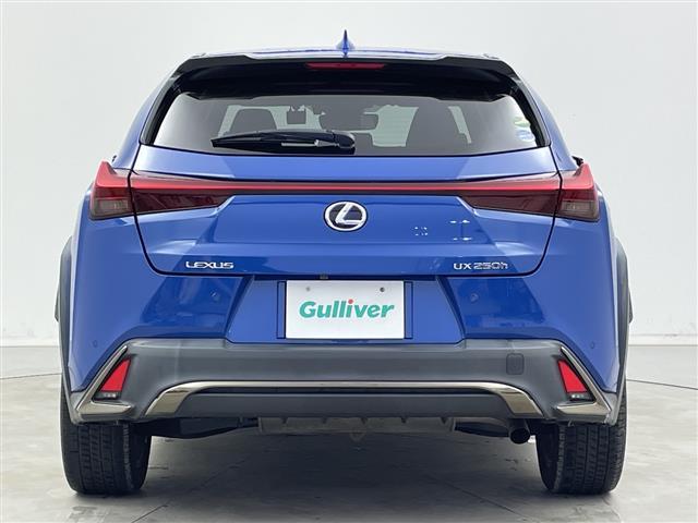 ＵＸ ＵＸ２５０ｈ　Ｆスポーツ　純正メモリナビ　衝突被害軽減ブレーキ　レーンキープアシスト　リヤクロストラフィックアラート　ブラインドスポットモニター　パワーバックドア　前後ドライブレコーダー　メモリーシート　レザーシート（20枚目）