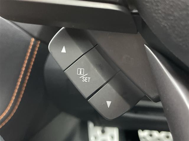 ＸＶ ２．０ｉ－Ｓ　アイサイト　ワンオーナー　アイサイト　純正メモリナビ　衝突被害軽減ブレーキ　レーンキープアシスト　レーダークルーズコントロール　ブラインドスポットモニター　ハーフレザーシート　ドライブレコーダー　ＥＴＣ（10枚目）