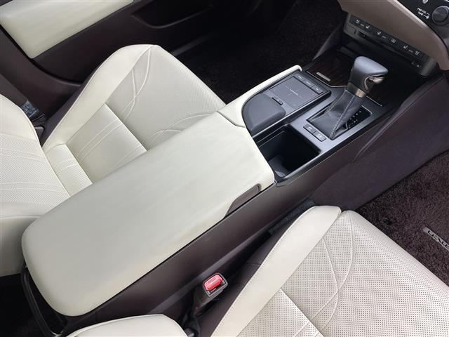 ＥＳ ＥＳ３００ｈ　バージョンＬ　純正ナビ　３眼ＬＥＤヘッドライト　ヘッドアップディスプレイ　シートヒーター　革シート　ＥＴＣ２．０　パワーシート　アラウンドビューモニター　ブラインドスポットモニター　純正アルミホイール　サンルーフ（10枚目）