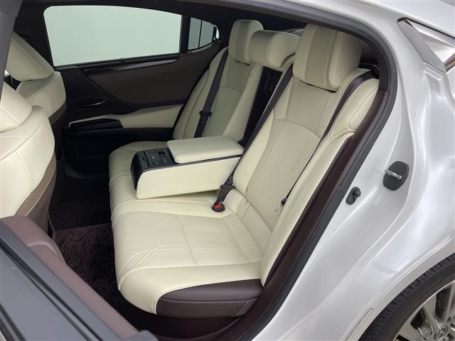 ＥＳ ＥＳ３００ｈ　バージョンＬ　純正ナビ　３眼ＬＥＤヘッドライト　ヘッドアップディスプレイ　シートヒーター　革シート　ＥＴＣ２．０　パワーシート　アラウンドビューモニター　ブラインドスポットモニター　純正アルミホイール　サンルーフ（14枚目）