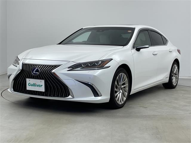 ＥＳ ＥＳ３００ｈ　バージョンＬ　純正ナビ　３眼ＬＥＤヘッドライト　ヘッドアップディスプレイ　シートヒーター　革シート　ＥＴＣ２．０　パワーシート　アラウンドビューモニター　ブラインドスポットモニター　純正アルミホイール　サンルーフ（23枚目）