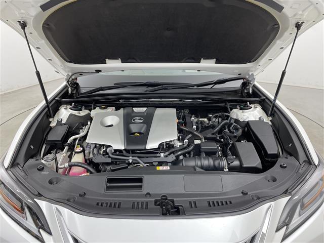 ＥＳ ＥＳ３００ｈ　バージョンＬ　純正ナビ　３眼ＬＥＤヘッドライト　ヘッドアップディスプレイ　シートヒーター　革シート　ＥＴＣ２．０　パワーシート　アラウンドビューモニター　ブラインドスポットモニター　純正アルミホイール　サンルーフ（30枚目）