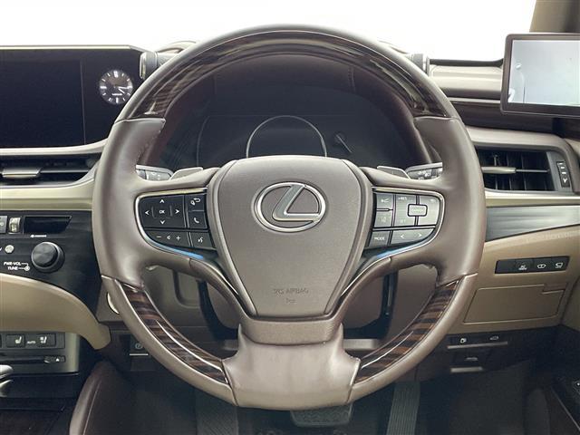 ＥＳ ＥＳ３００ｈ　バージョンＬ　純正ナビ　３眼ＬＥＤヘッドライト　ヘッドアップディスプレイ　シートヒーター　革シート　ＥＴＣ２．０　パワーシート　アラウンドビューモニター　ブラインドスポットモニター　純正アルミホイール　サンルーフ（42枚目）