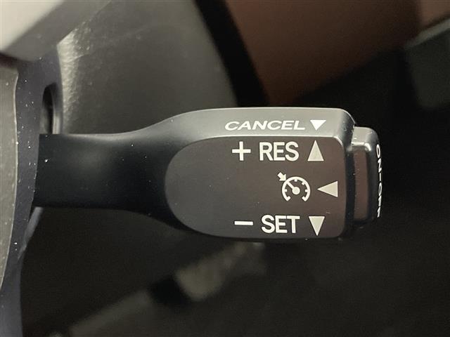 タンク Ｇ　Ｓ　衝突軽減ブレーキ／車線逸脱警報システム／社外ＳＤナビ（ＣＮ－ＲＥ０４ＷＤ）／バックカメラ／フルセグＴＶ／Ｂｌｕｅｔｏｏｔｈ／ＣＤ／ＤＶＤ／ＳＤ再生機能／両側パワースライドドア（37枚目）