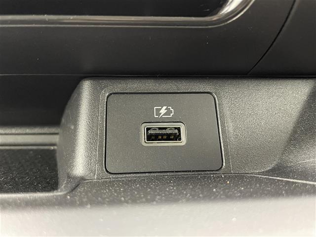 eKワゴン M 4WD 社外ナビ CD DVD BT フルセグTV バックカメラ 衝突被害軽減ブレーキ レーンキープアシスト オートライト 標識認識機能横滑り防止装置 リモコンキー 社外フロアマット ドアバイザー(24枚目)