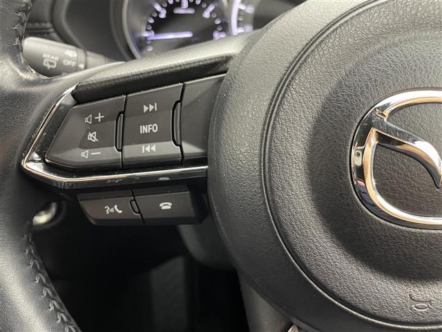 CX-8 XDプロアクティブ 純正10.25インチナビ 360度ビューモニター BSM HUD ETC 前後ドライブレコーダー スマートシティブレーキサポート レーダークルーズ デジタルインナーミラー ステアリングヒーター LED(10枚目)