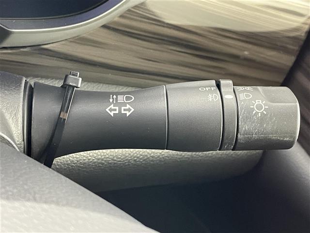 エルグランド 250ハイウェイスターS 純正ナビ フリップダウンモニター アラウンドビューモニター ビルトインETC ドライブレコーダー エマージェンシーブレーキ レーダークルーズコントロール オートライト LEDヘッドライト 地デジTV(12枚目)