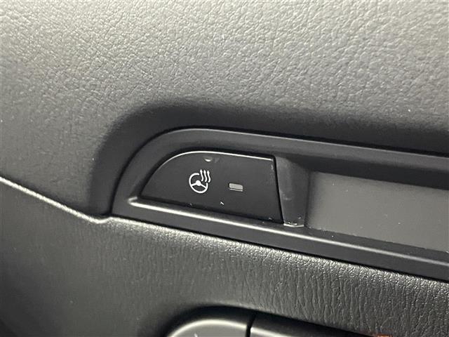 CX-5 XD エクスクルーシブモード BOSE 純正ナビ 360度ビュー BSM HUD ディープレッドレザー ETC 前後ドラレコ スマートシティブレーキサポート レーダークルーズ シートヒーター ステアリングヒーター メモリシート(29枚目)