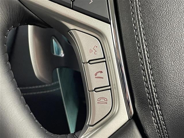 デリカＤ：５ シャモニー　登録済未使用車　４ＷＤ　全周囲モニター　衝突軽減ブレーキ　レーンキープアシスト　レーダクルコン　ＢＳＭ　誤発進抑制　両側電動スライド　電動リアドア　デジタルインナーミラー　シートヒーター　ＡＣ１００Ｖ（8枚目）