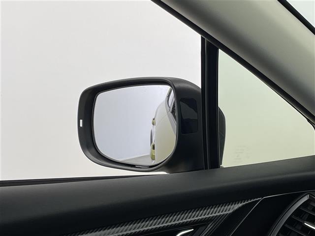 XV アドバンス スタイルエディション アイサイト 純正ナビ バックカメラ BSM ETC ドライブレコーダー レーダークルーズコントロールステアリングスイッチ 純正アルミホイール スマートキー オートライト LEDヘッドライト 地デジTV(30枚目)