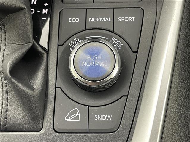 RAV4 アドベンチャー オフロードパッケージII 純正10.5インチディスプレイオーディオ バックカメラ BSM ビルトインETC2.0 前後ドライブレコーダー レーダークルーズコントロール メモリシート デジタルインナーミラー オートハイビーム(25枚目)