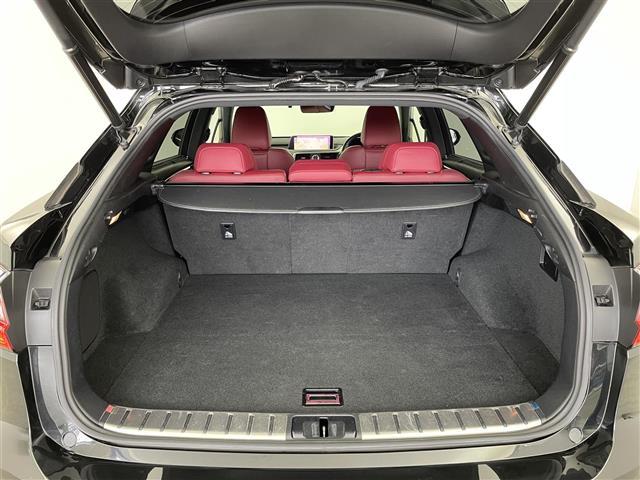 ＲＸ ３００　Ｆスポーツ　サンルーフ　メーカーナビ　ＢＳＭ　ＨＵＤ　赤レザー　三眼ＬＥＤ　ビルトインＥＴＣ２．０　ドライブレコーダー　セーフティシステムプラス　レーダークルーズ　シートヒーター　ベンチレーション　ＡＣ１００Ｖ（22枚目）