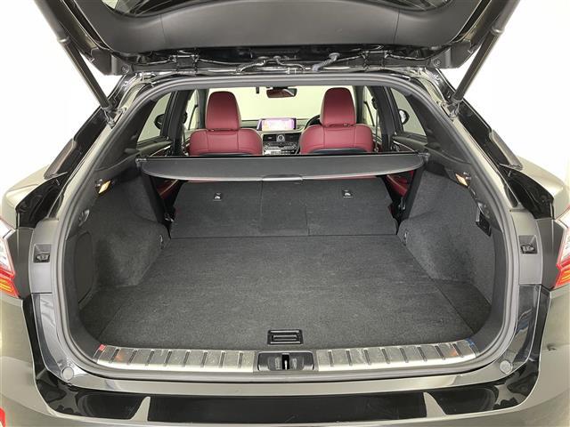 ＲＸ ３００　Ｆスポーツ　サンルーフ　メーカーナビ　ＢＳＭ　ＨＵＤ　赤レザー　三眼ＬＥＤ　ビルトインＥＴＣ２．０　ドライブレコーダー　セーフティシステムプラス　レーダークルーズ　シートヒーター　ベンチレーション　ＡＣ１００Ｖ（23枚目）