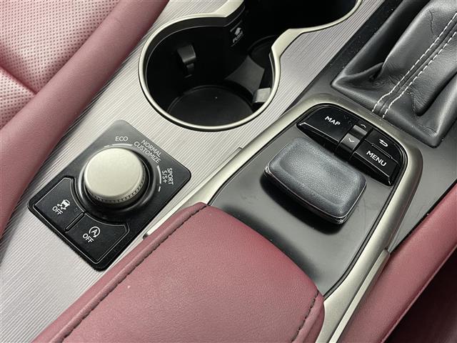 ＲＸ ３００　Ｆスポーツ　サンルーフ　メーカーナビ　ＢＳＭ　ＨＵＤ　赤レザー　三眼ＬＥＤ　ビルトインＥＴＣ２．０　ドライブレコーダー　セーフティシステムプラス　レーダークルーズ　シートヒーター　ベンチレーション　ＡＣ１００Ｖ（27枚目）