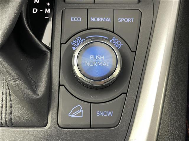 RAV4 アドベンチャー TRDエアロ サンルーフ 純正9インチディスプレイオーディオ パノラミックビューモニター BSM ビルトインETC2.0 前後ドライブレコーダー レーダークルーズ ミラー一体型ドラレコ AC100V(26枚目)