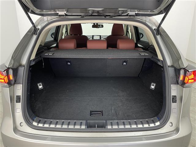 ＮＸ ＮＸ２００ｔ　アーバンスタイル　メーカーナビ　バックカメラ　赤レザーシート　三眼ＬＥＤ　クルーズコントロール　ビルトインＥＴＣ２．０　シートヒーター　メモリシート　ステアリングヒーター　純正アルミホイール　オートライト　地デジＴＶ（23枚目）