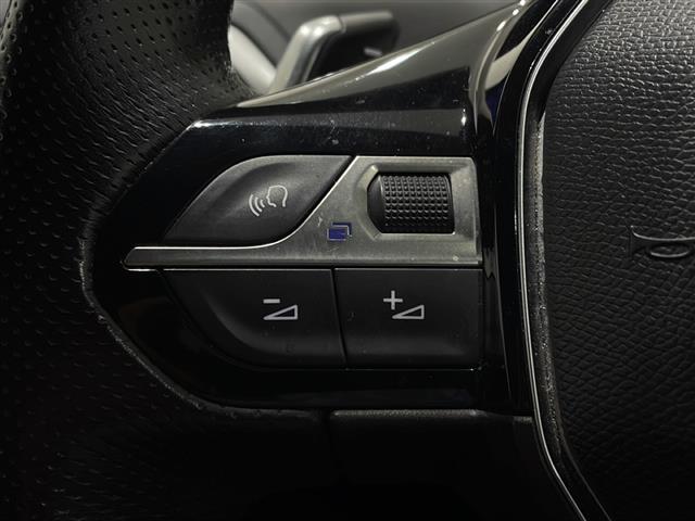 ３００８ ＧＴ　ブルーＨＤｉ　純正ナビ　ＴＶ　バックカメラ　ＥＴＣ　ドラレコ（10枚目）