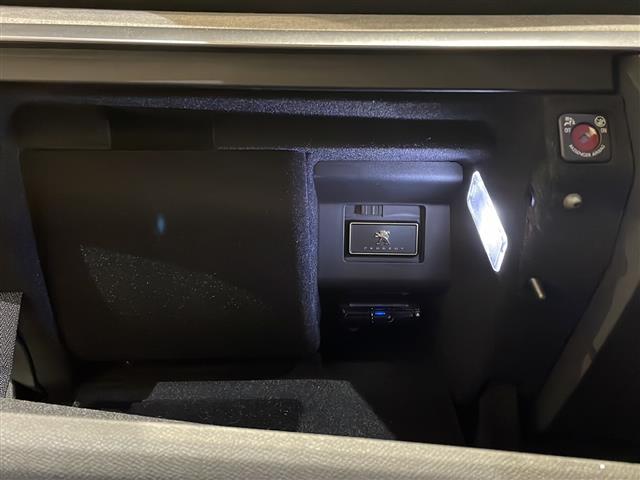３００８ ＧＴ　ブルーＨＤｉ　純正ナビ　ＴＶ　バックカメラ　ＥＴＣ　ドラレコ（19枚目）
