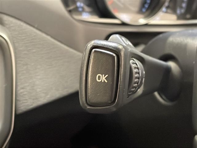 Ｖ４０ クロスカントリー　Ｔ５　ＡＷＤ　モメンタム　４ＷＤ　純正ＨＤＤナビ　バックカメラ　ＥＴＣ　インテリセーフ　衝突回避ブレーキ　レーンキーピングエイド　アダプティブクルーズコントロール　ブラインドスポットインフォメーションシステム（22枚目）