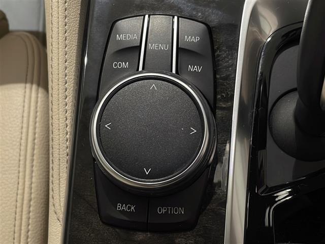 5シリーズ 530iラグジュアリー ハイラインパッケージ アンビエントライト 10.2インチ純正HDDナビ 360度カメラ アダクティブクルーズコントロール レーンキーピングアシスト DSRC アダクティブLEDヘッドライト(16枚目)