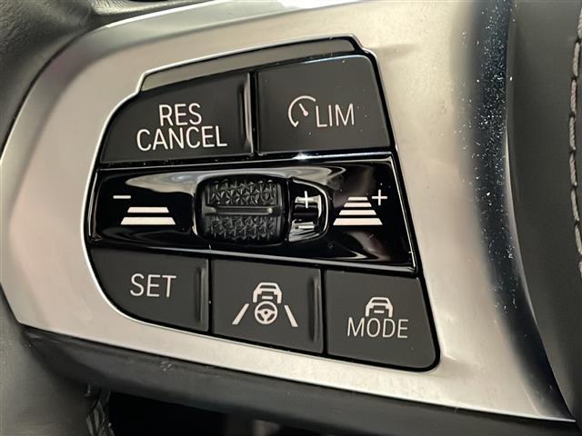 X5 M50i アダプティブクルーズコントロール レーンキピングアシスト ステアリングヒーター シートベンチレーション シートヒーター イージークローズ オプション22インチAW レーダー探知機 ドライブレコーダー(17枚目)