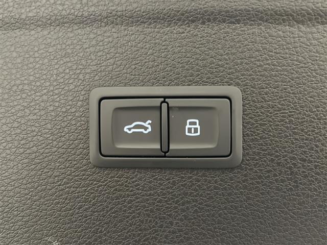 SQ5 ベースグレード サンルーフ Bang&Olufsen レッドキャリパー(11枚目)