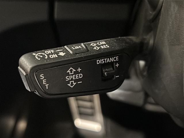 SQ5 ベースグレード サンルーフ Bang&Olufsen レッドキャリパー(12枚目)