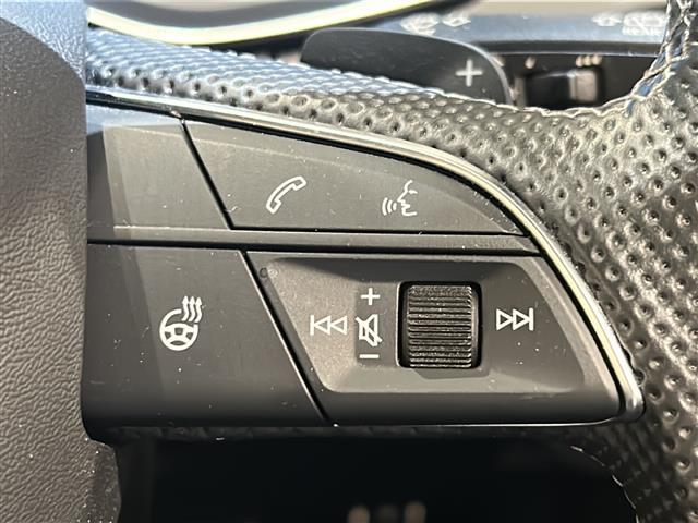 SQ5 ベースグレード サンルーフ Bang&Olufsen レッドキャリパー(17枚目)