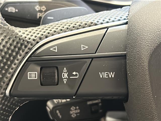 SQ5 ベースグレード サンルーフ Bang&Olufsen レッドキャリパー(18枚目)